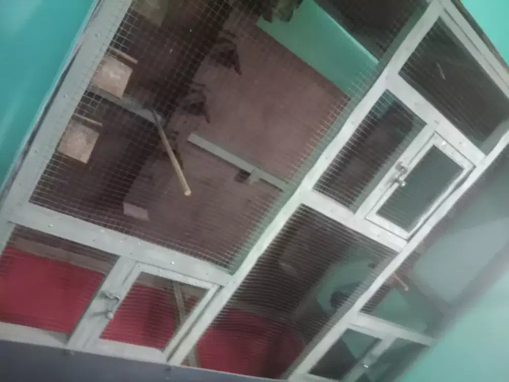 Jual  sangkar ukuran besar cocok buat  ternak kan burung