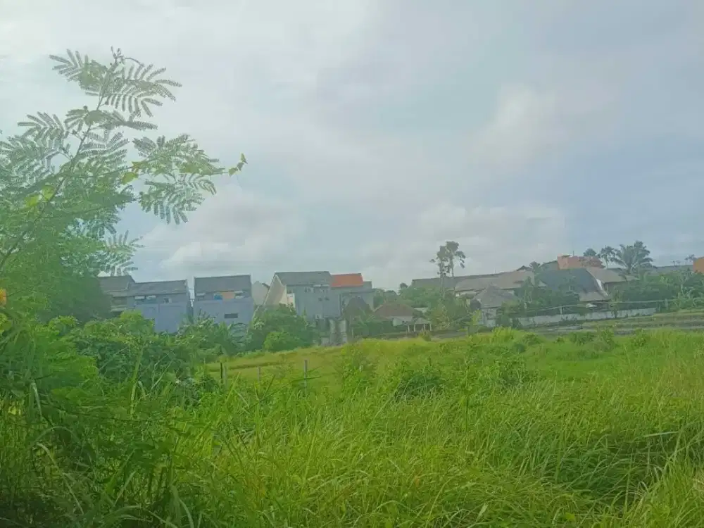 Land for sale in Mengwi, Bali