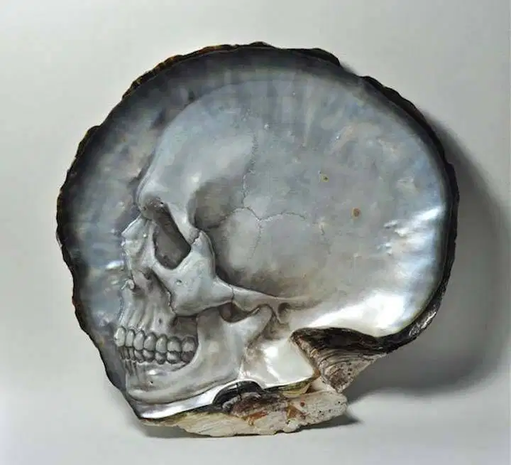 Pajangan Dekorasi Rumah dari Kerang yang Diukir