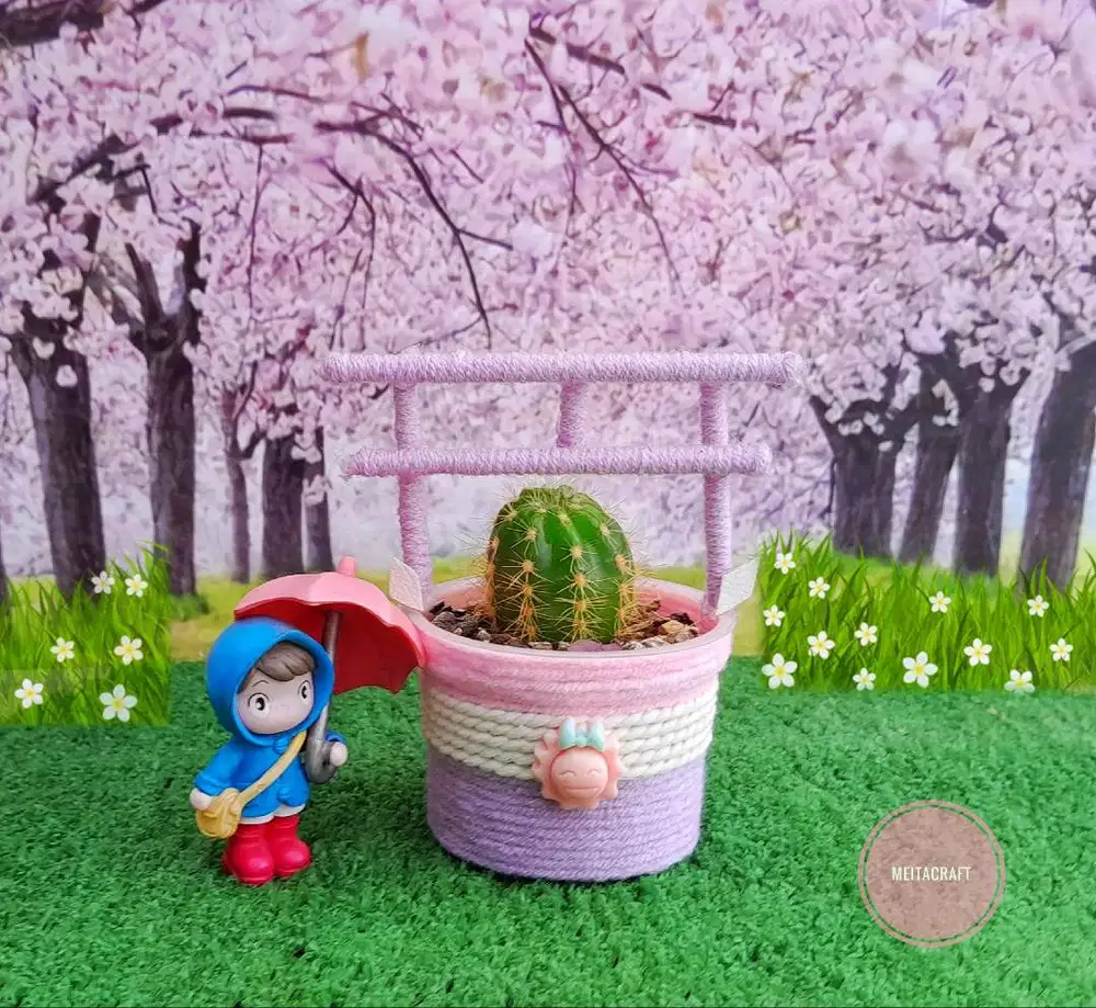 Kaktus Echinopsis dengan Pot Model Tori Gate Jepang