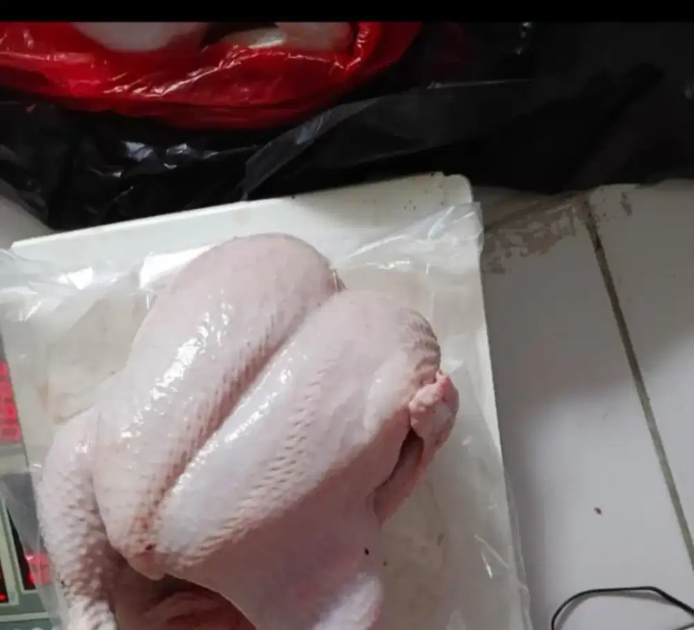 jual ayam potong segar (anti kisut)