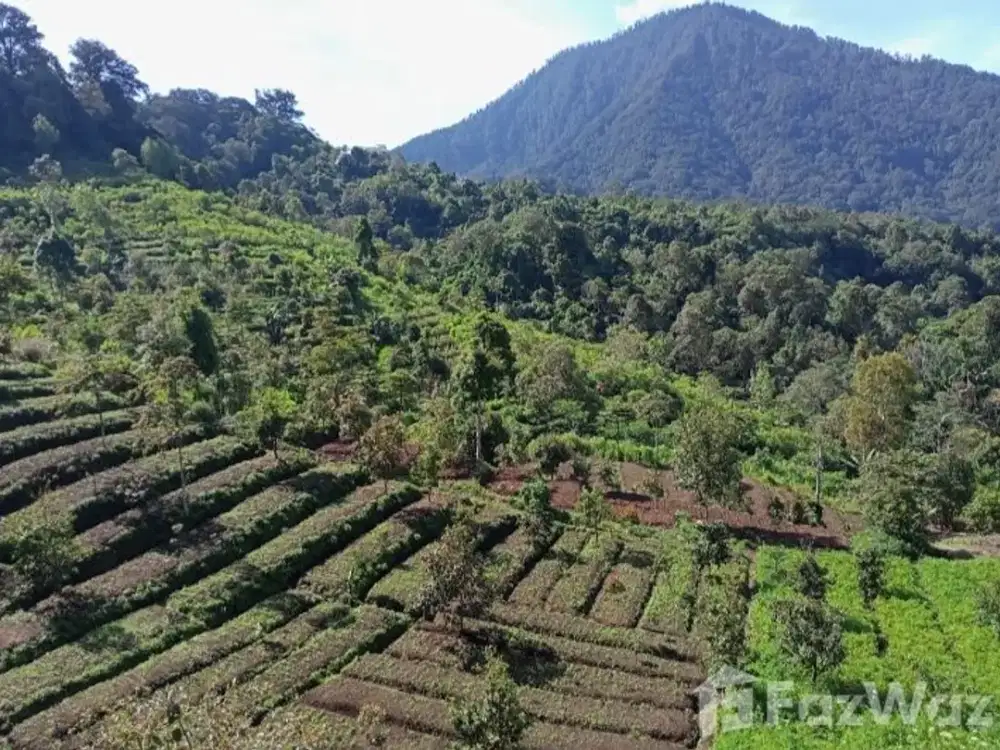 Land for sale in Banjar, Bali