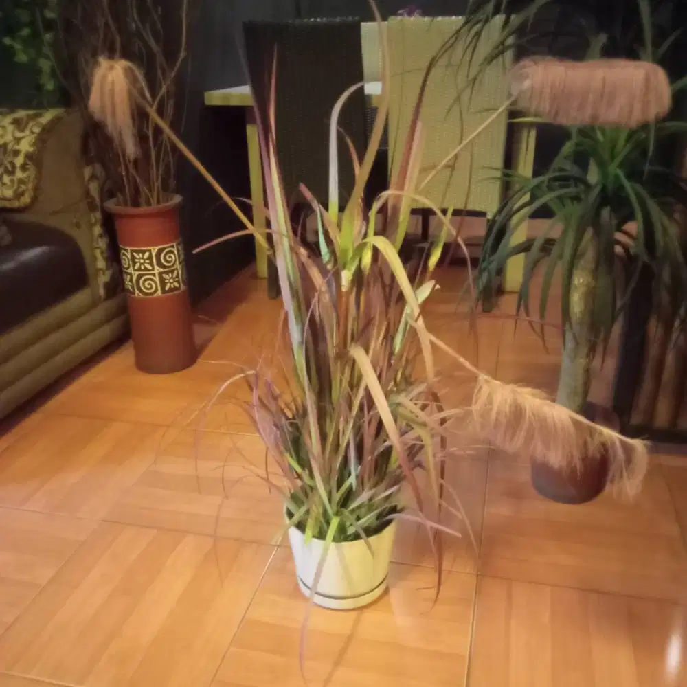 Bunga alang-alang sintetis + vas