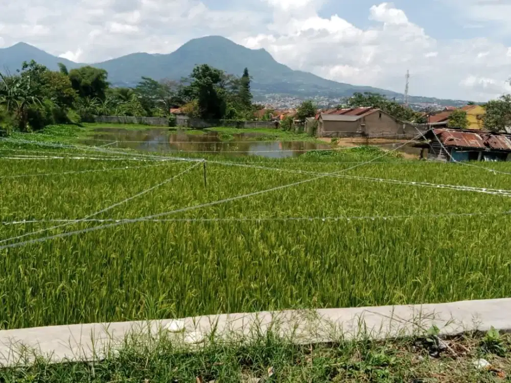 Kavling Luas Cocok Untuk Cluster di Cibiru Bandung Timur