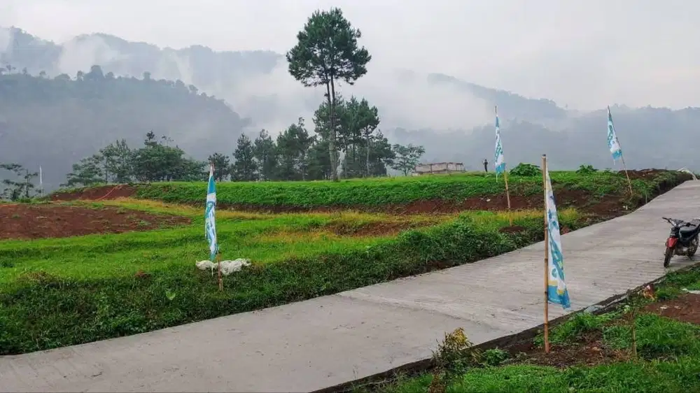 Jual Tanah Kavling SHM 1000 Mdpl Panoramic Highland Bogor