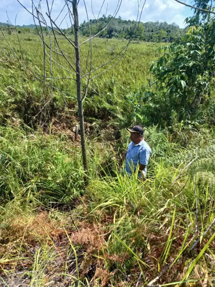 DIJUAL TANAH DI KUTAI KARTANGERA KALIMANTAN TIMUR TURUN HARGA