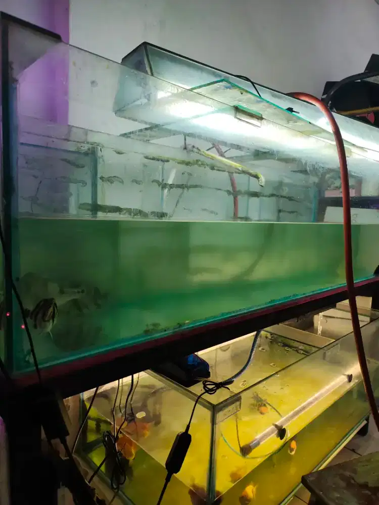 Aquarium besar beserta kaki