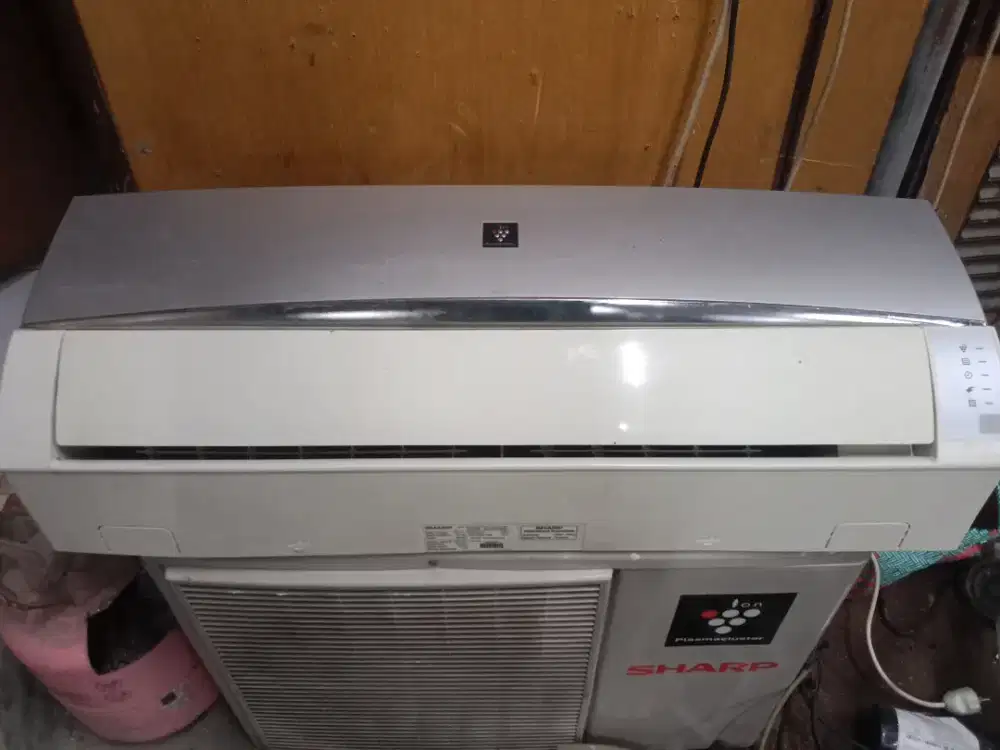 Ac sharp 1/2pk ori mulus