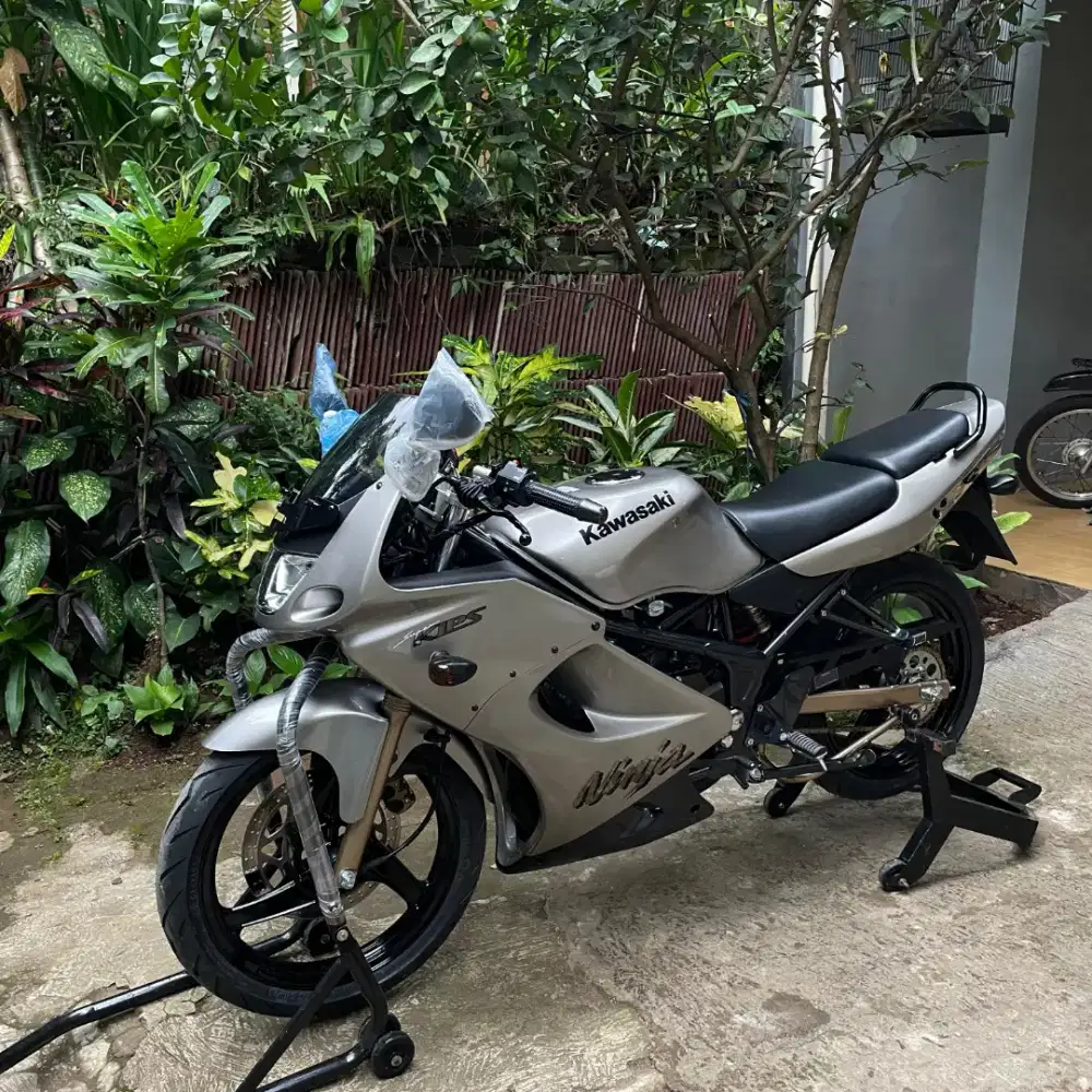 Kawasaki Ninja RR CBU 2003 silver
