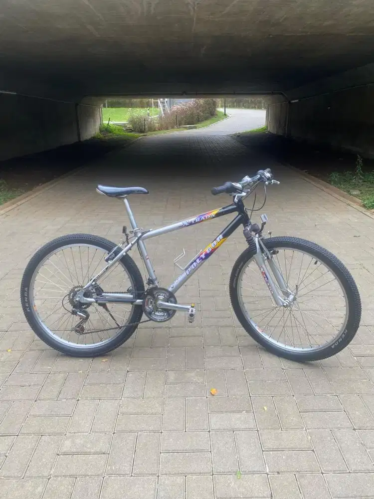 polygon xtrada 1 (vintage mtb)