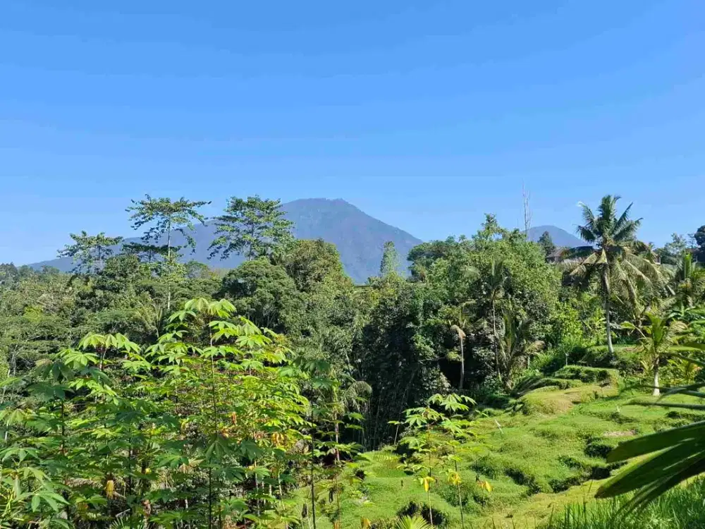 Dijual tanah view sawah dan gunung cantik di bali