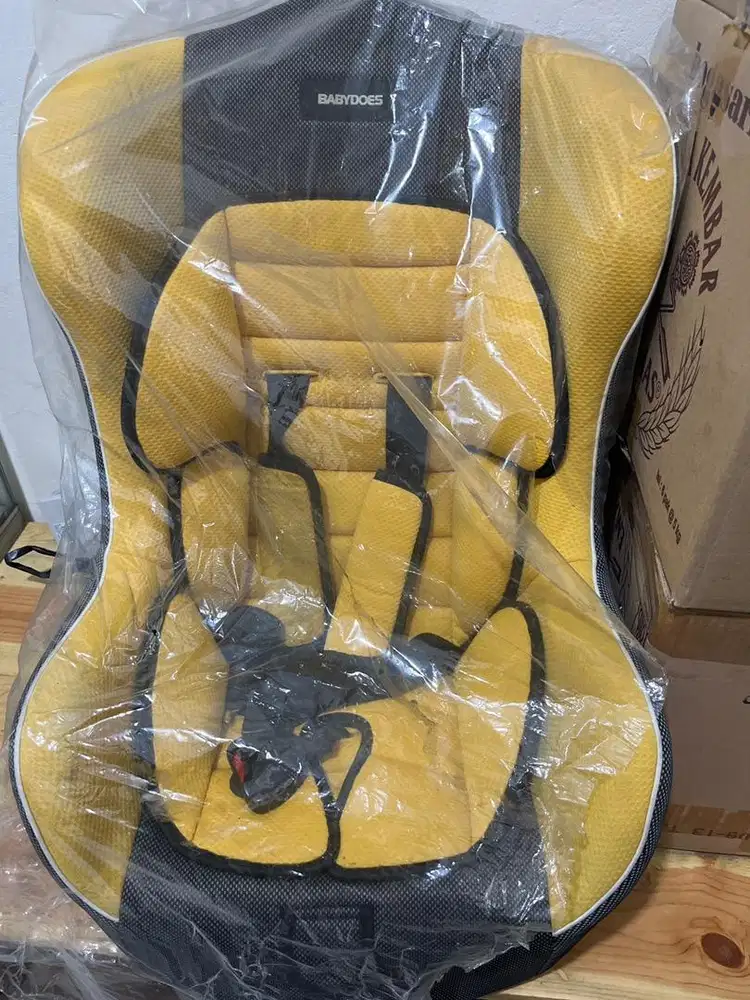 Carseat merk babydoes