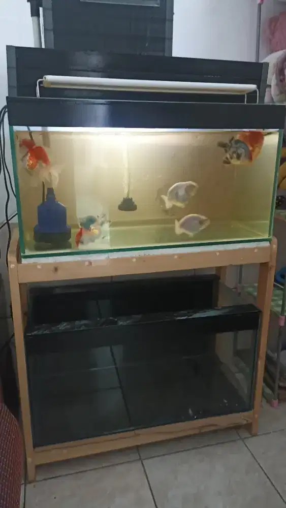 2 Aquarium lengkap 2 tingkat