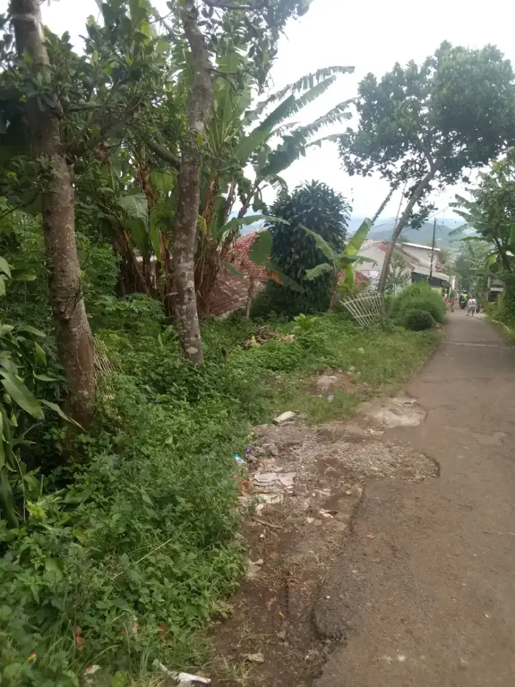 tanah di jual ada muka untuk mobil nya,, pertumba 8jt.