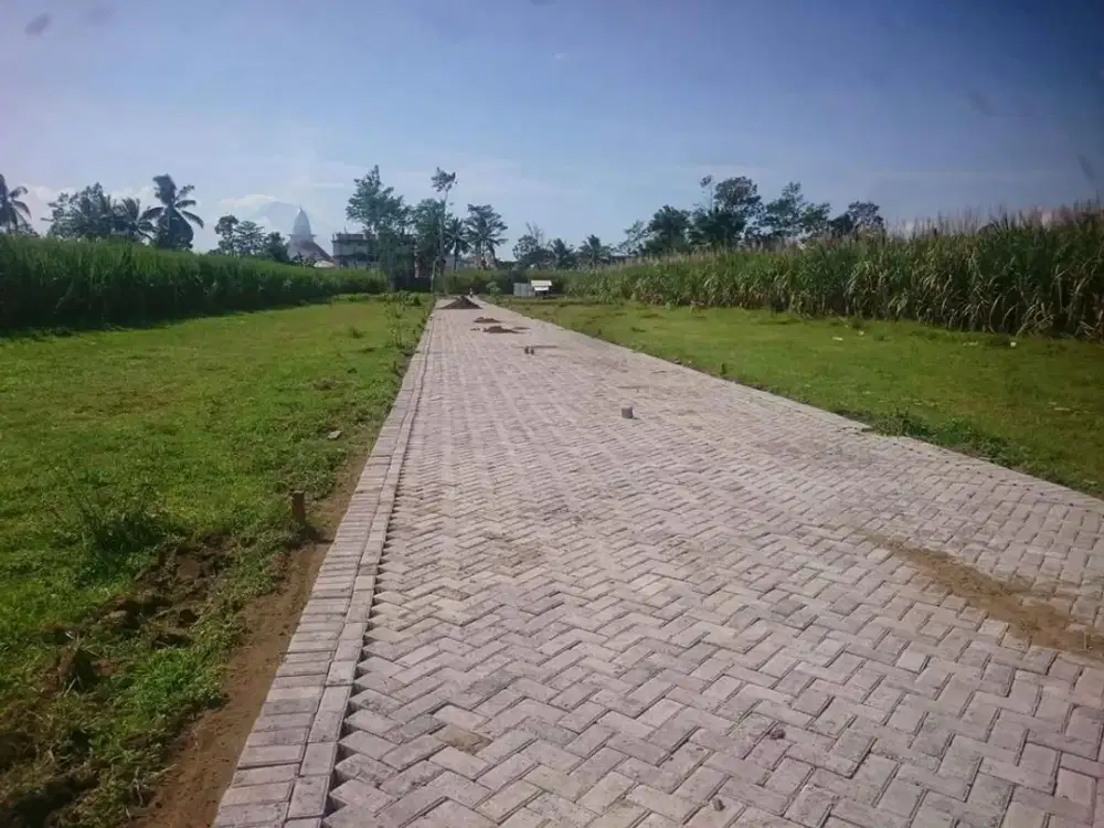 Tanah Kavling murah Ketawang Gondanglegi Malang sebelah PP Ar Rifa'i