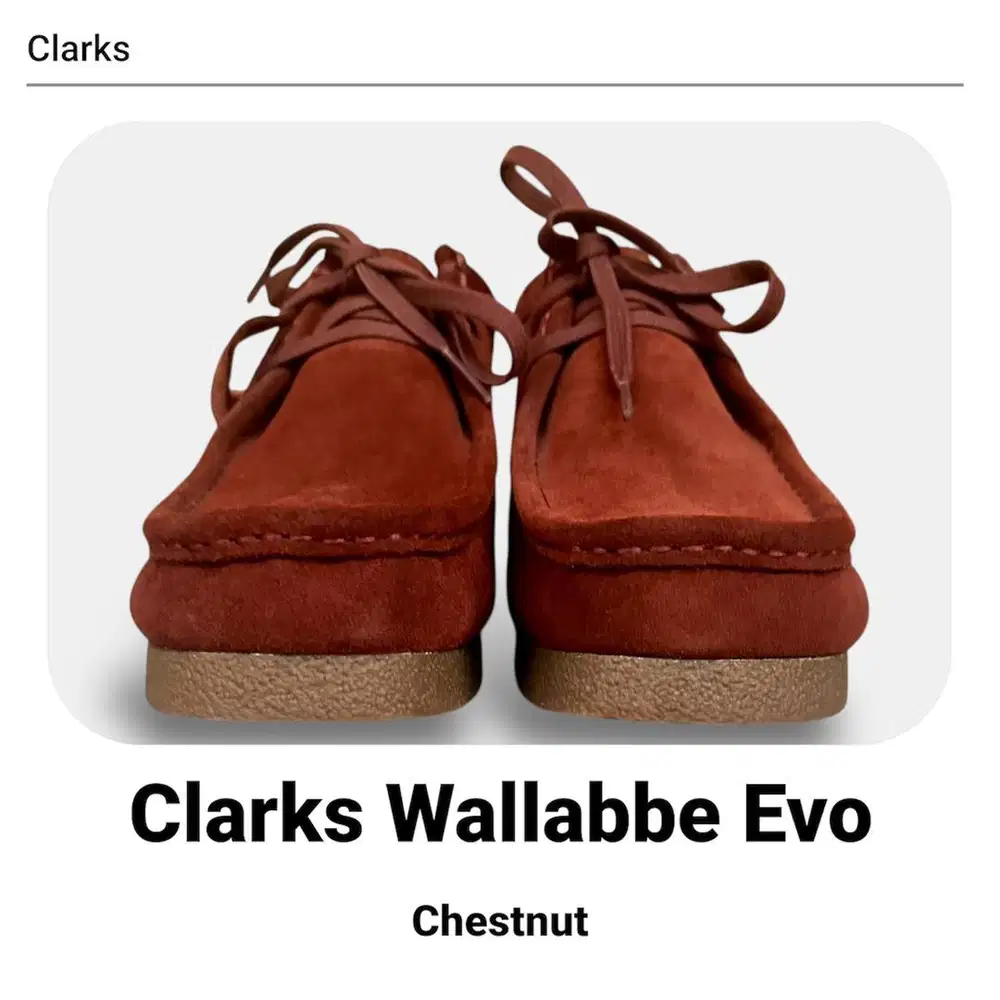 Wts sepatu Clarks EVO Original