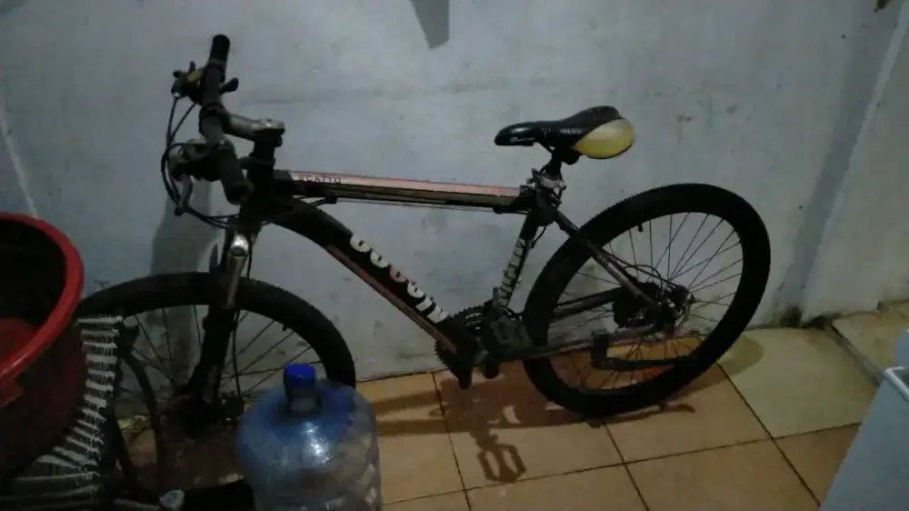 Sepeda Scatto Sepeda