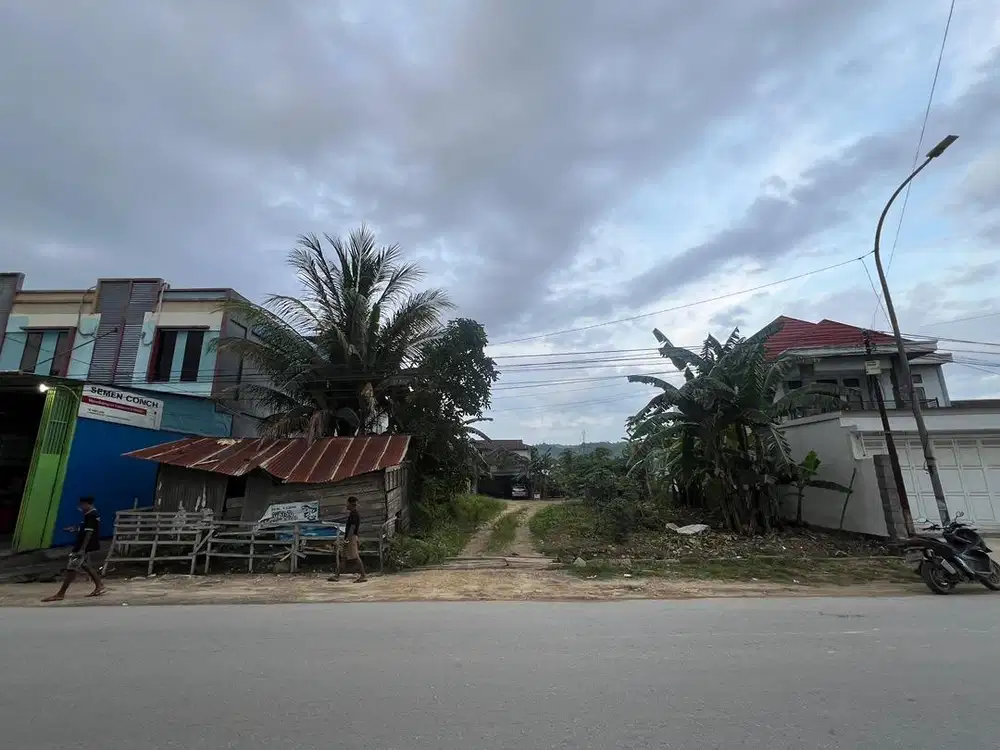 DI JUAL TANAH di BUNGA SEROJA