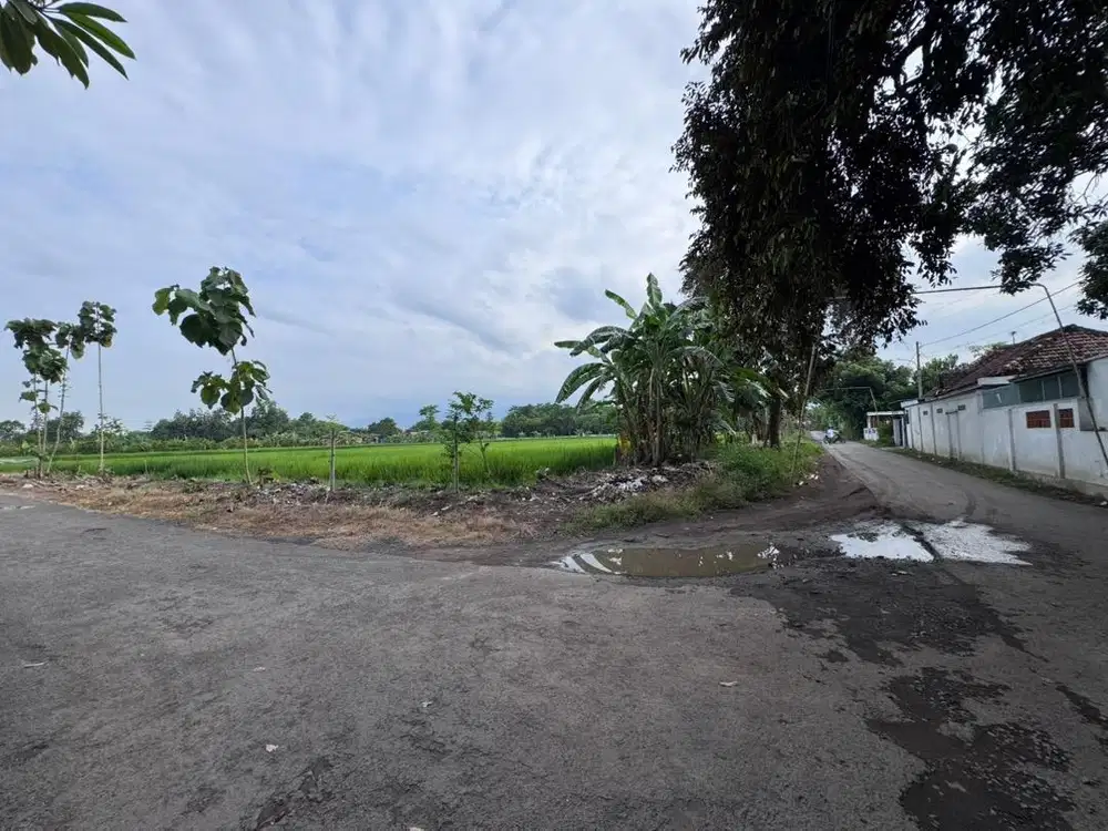 Di jual Tanah milik pribadi 0 jalan air melimpah luas 4970 m2