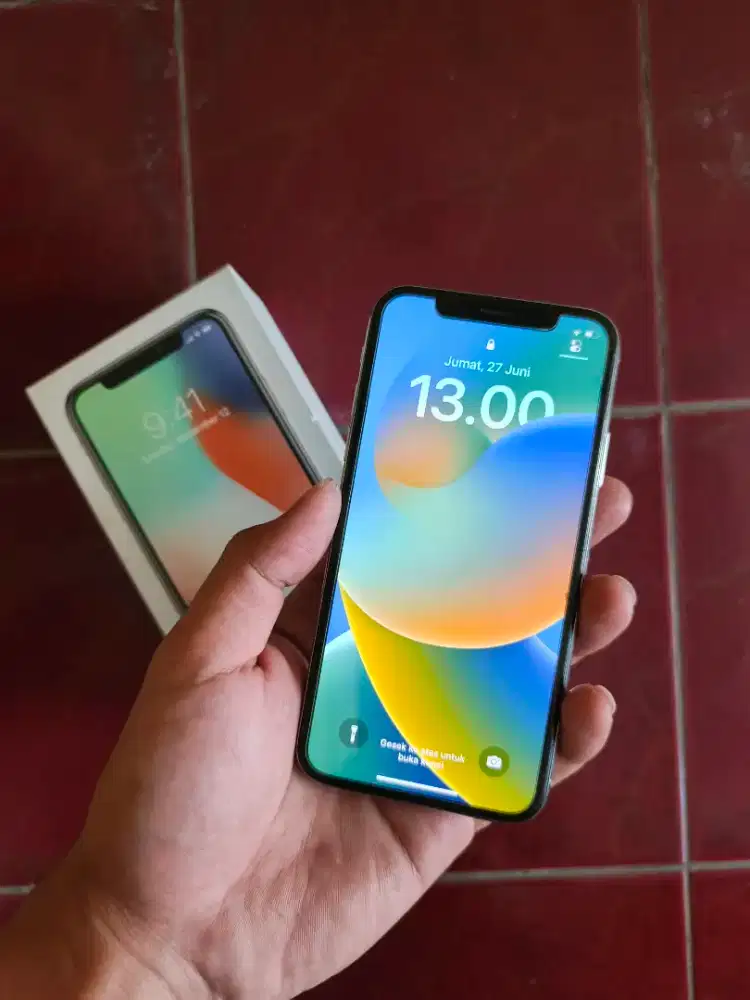 IP X 256gb inter all opt (whitelist)