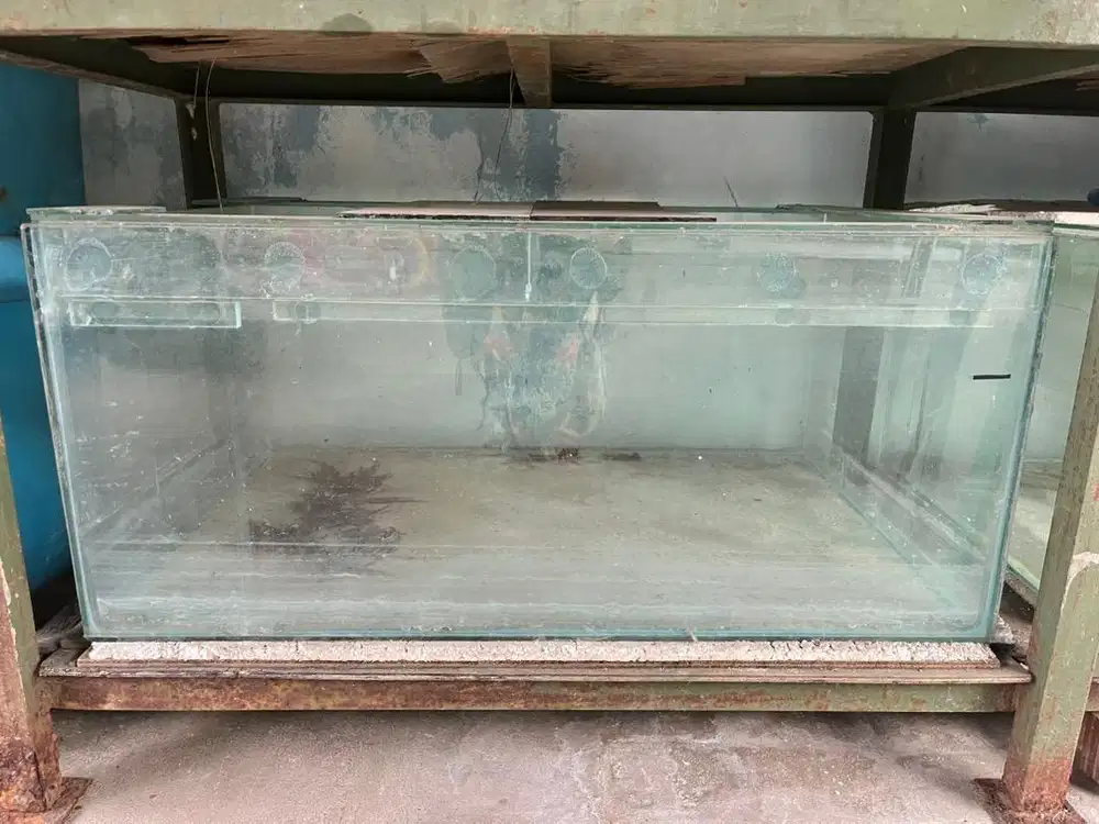 #prelovedaquarium Aquarium Bekas