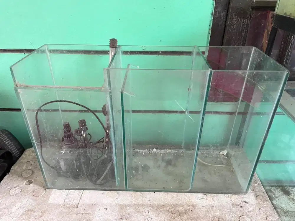 #prelovedaquarium Aquarium Bekas