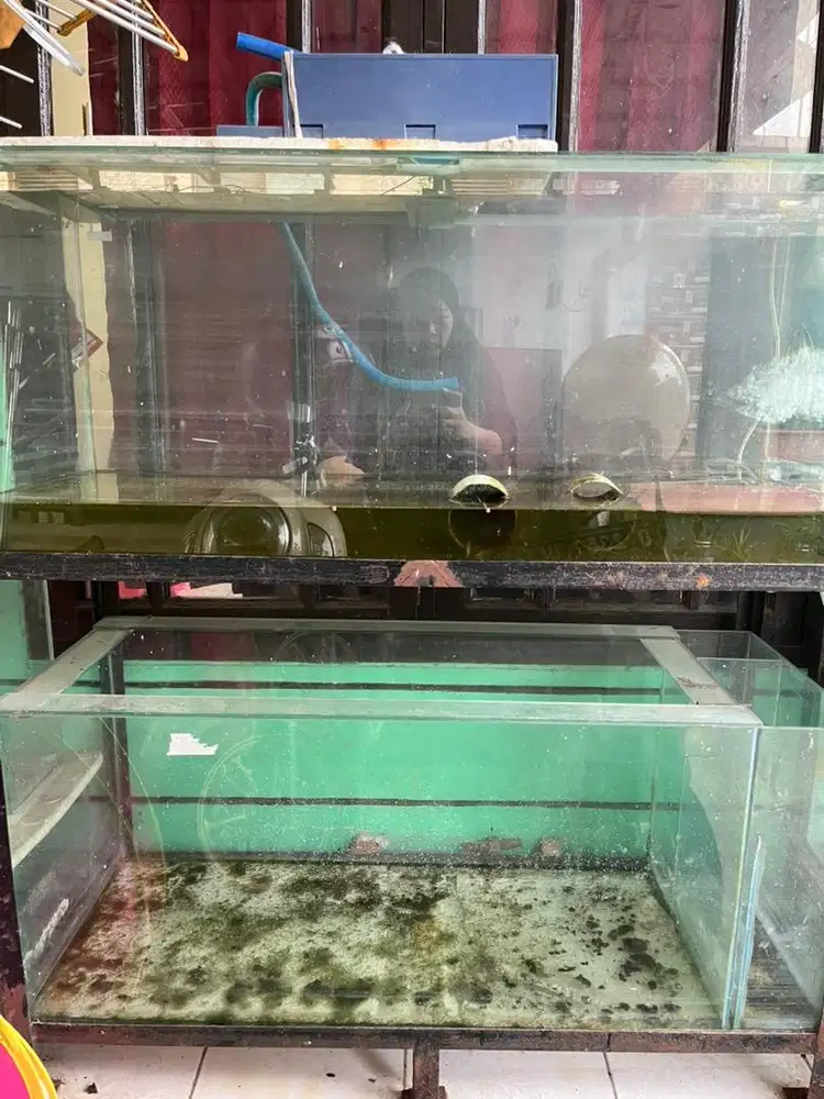 #prelovedaquarium Aquarium Bekas