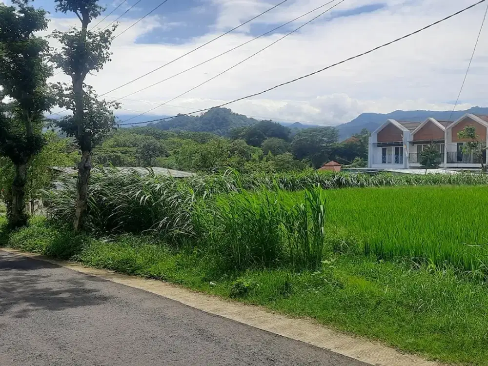 Promo Rumah murah New Capang residence Purwodadi 250 m Jl. Provinsi