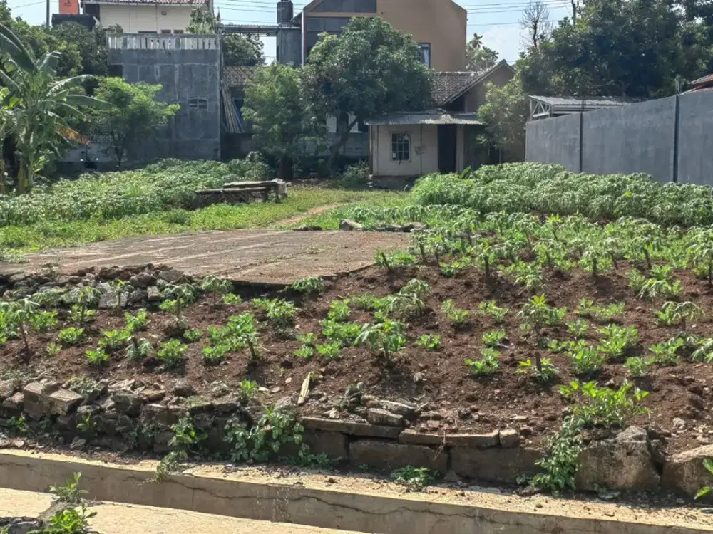 Gudang Kawasan Industri Wijaya Kusuma KIW- 10929