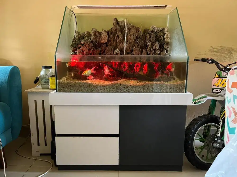 Paludarium Full Set 50cm x 80cm