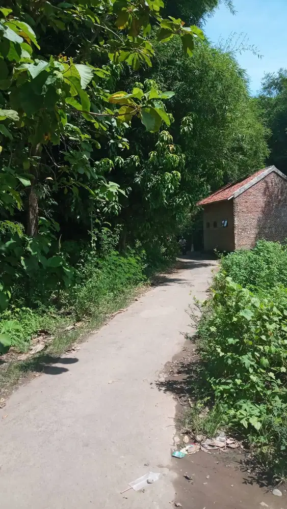 Tanah Strategis Aman Luas Dan Produktif