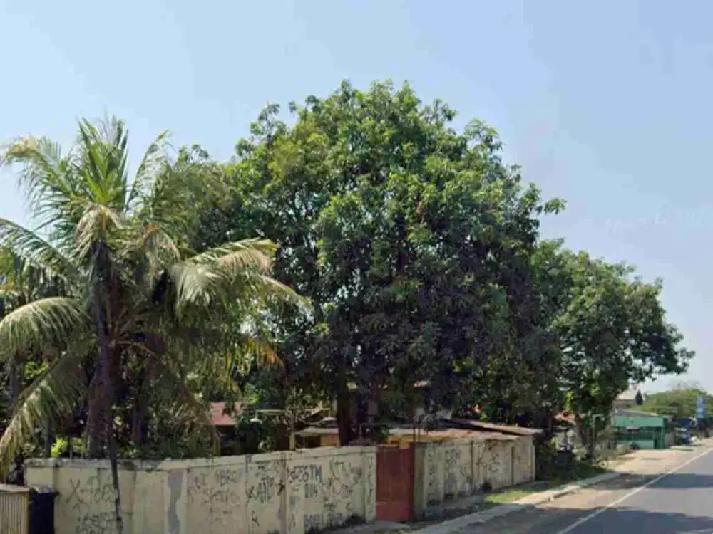 Tanah bonus bangunan layak huni di mainroad jalan pusaka jaya kabupaten subang