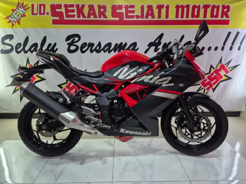 Ninja 250 mono 2019 plat L istimewa