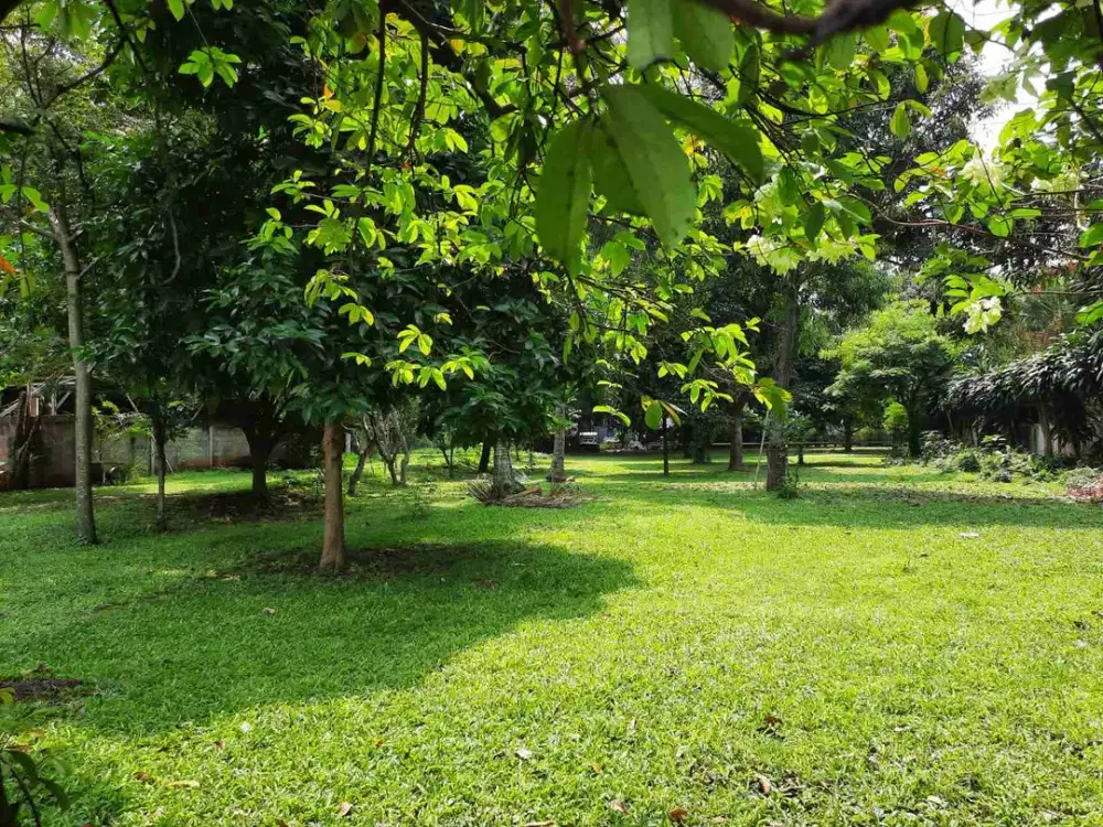 Kavling murah luas dan datar lokasi strategis di Jakarta Selatan