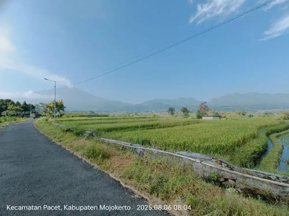 TANAH PACET VIEW MANIS BAGUS SETRATEGIS