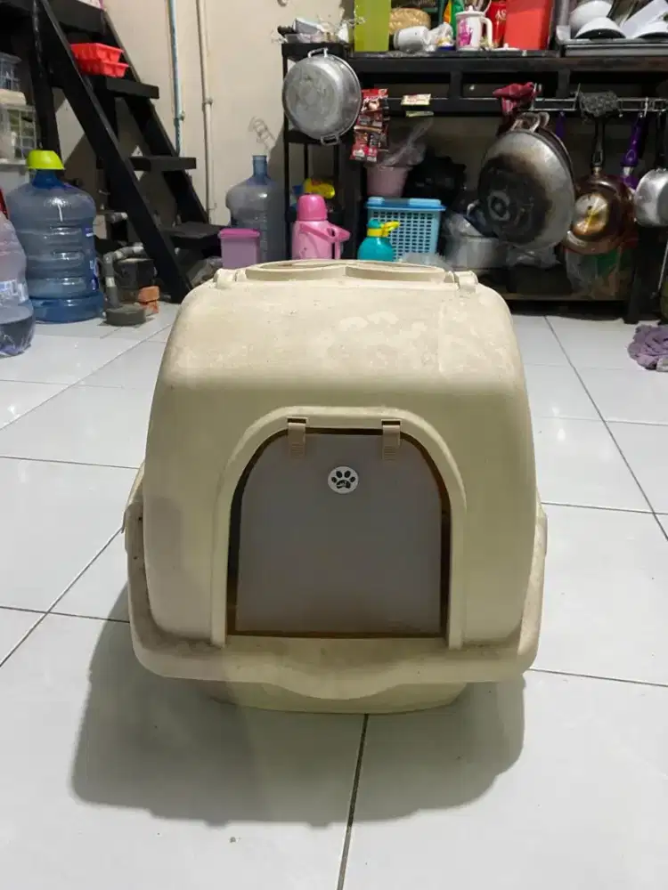 Litter box kucing