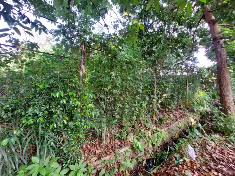 Tanah Murah Persegi Panjang di Sayap Ciumbuleuit