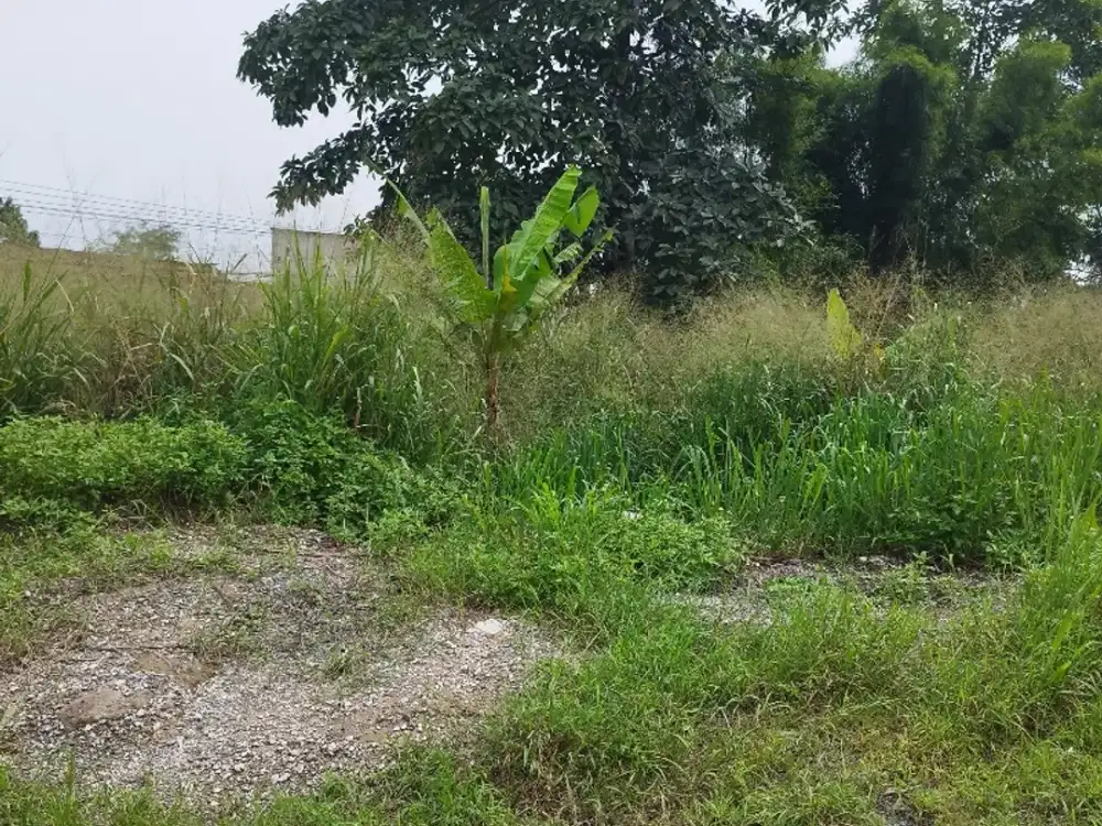 dijual cepat tanah strategis jl raya Diklat Pemda