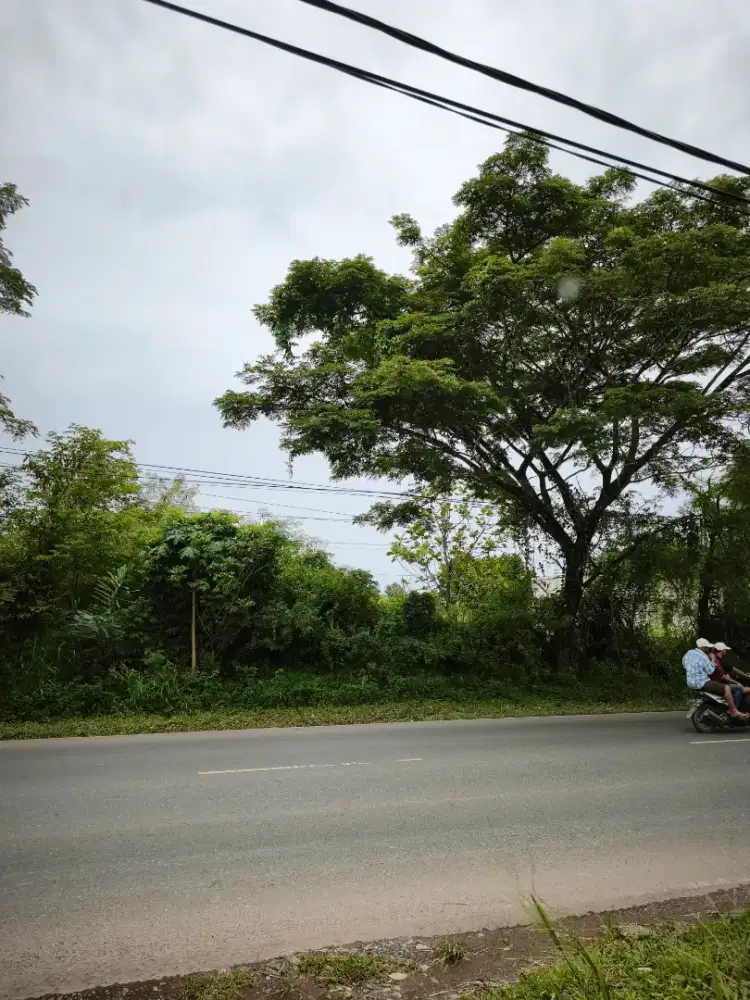 Tanah Strategis 1.549 m2 Pinggir Jalan Raya Bjm- Plh (Pulau Sari)