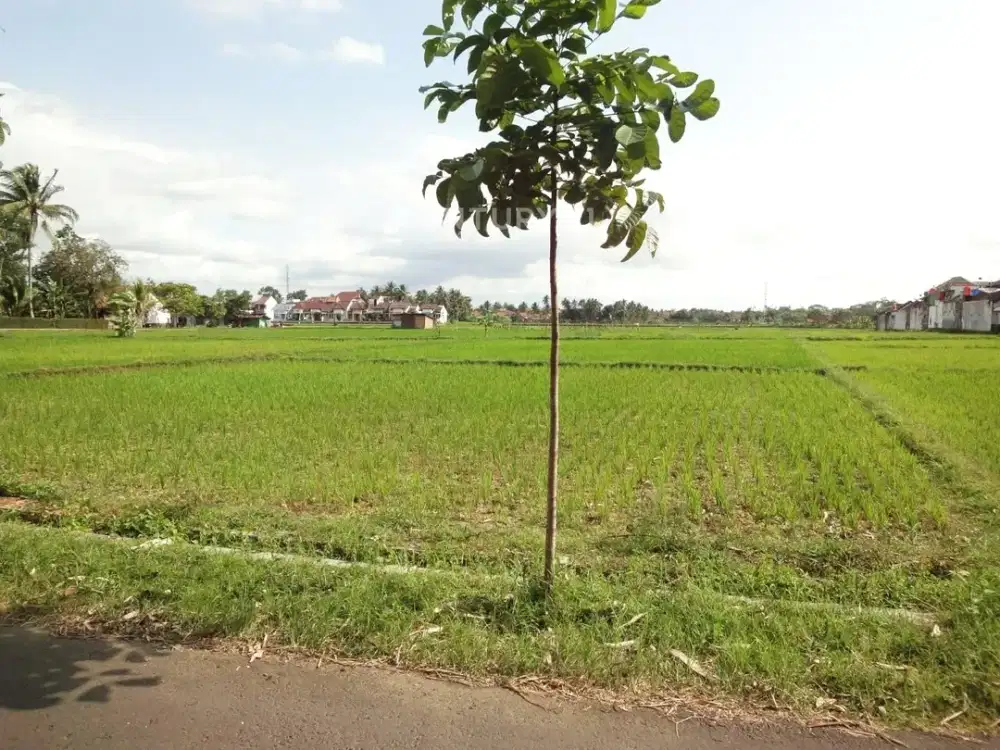 Kavling Tengah Kota Di Purworejo Jawa Tengah 9495