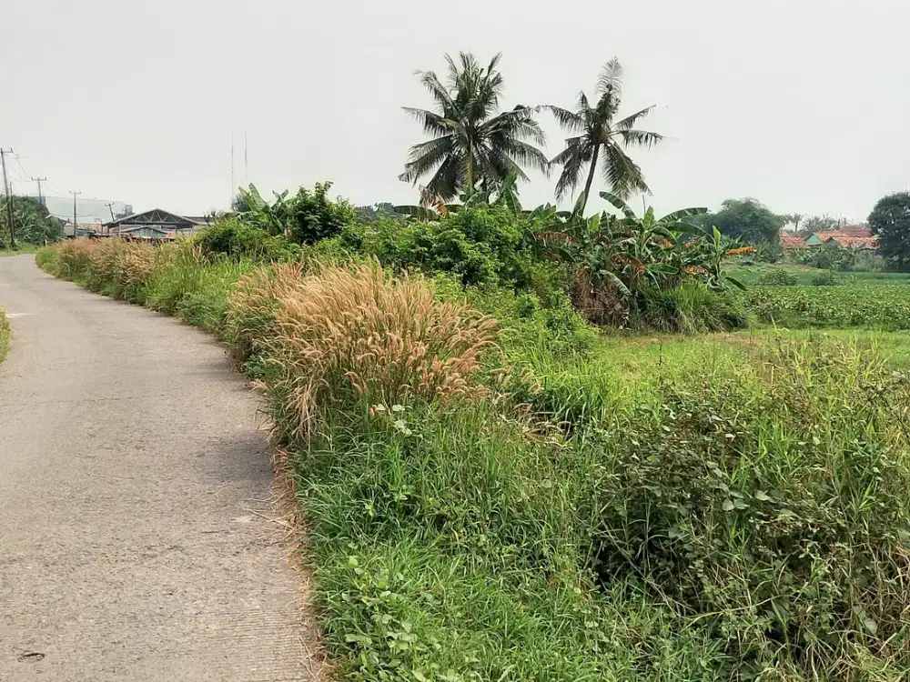 TURUN HARGA TANAH CIKARANG TIMUR COCOK BANGUN PERUMAHAN