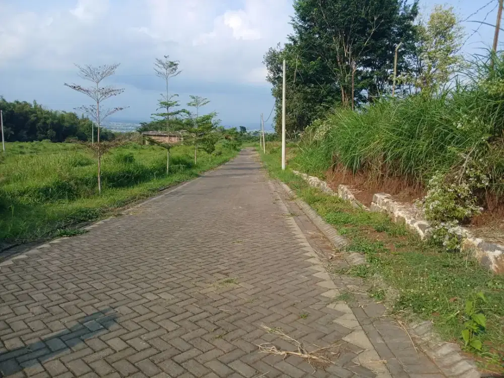 Tanah Malang Strategis Dekat Kampus dan Fasilitas Umum