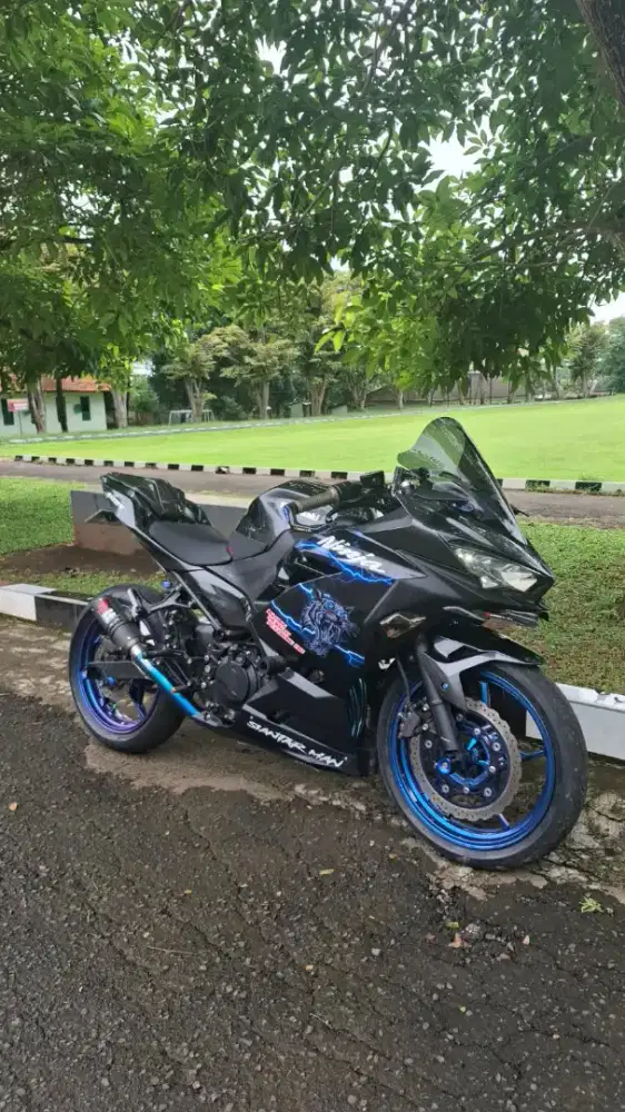 Kawasaki Ninja 250 New