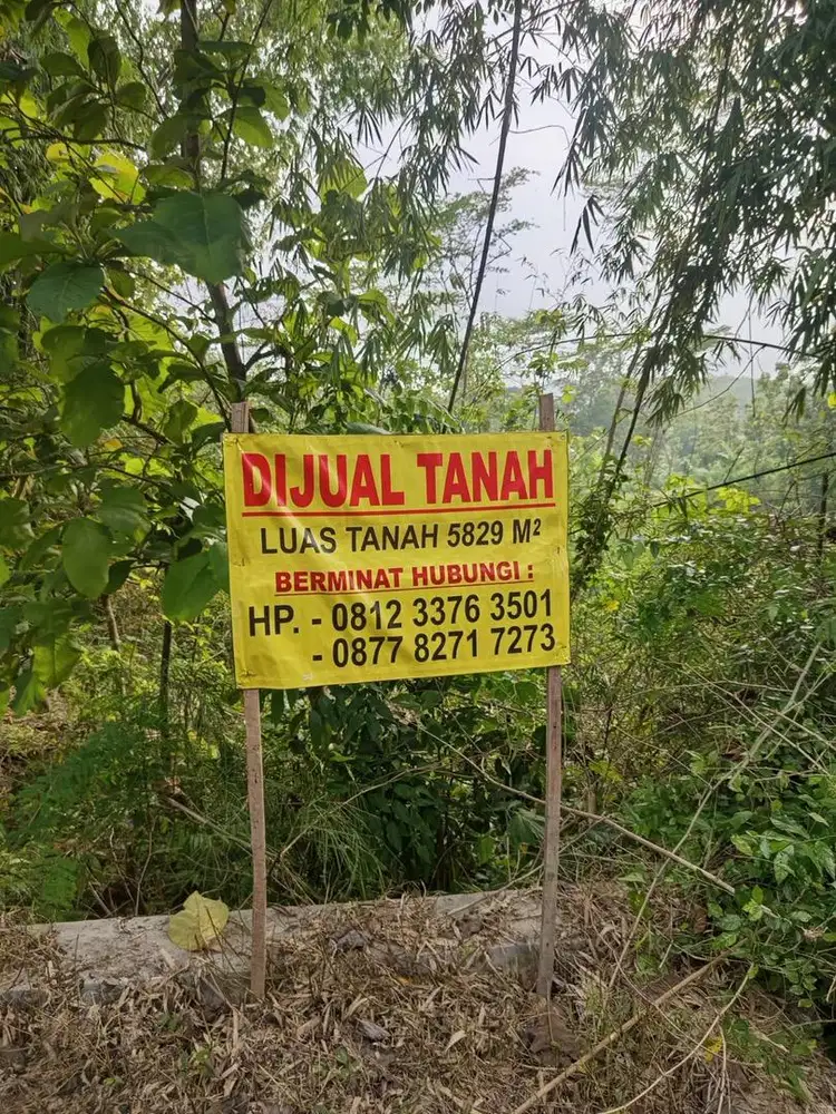 DIJUAL BU MURAH TANAH DI BLORA