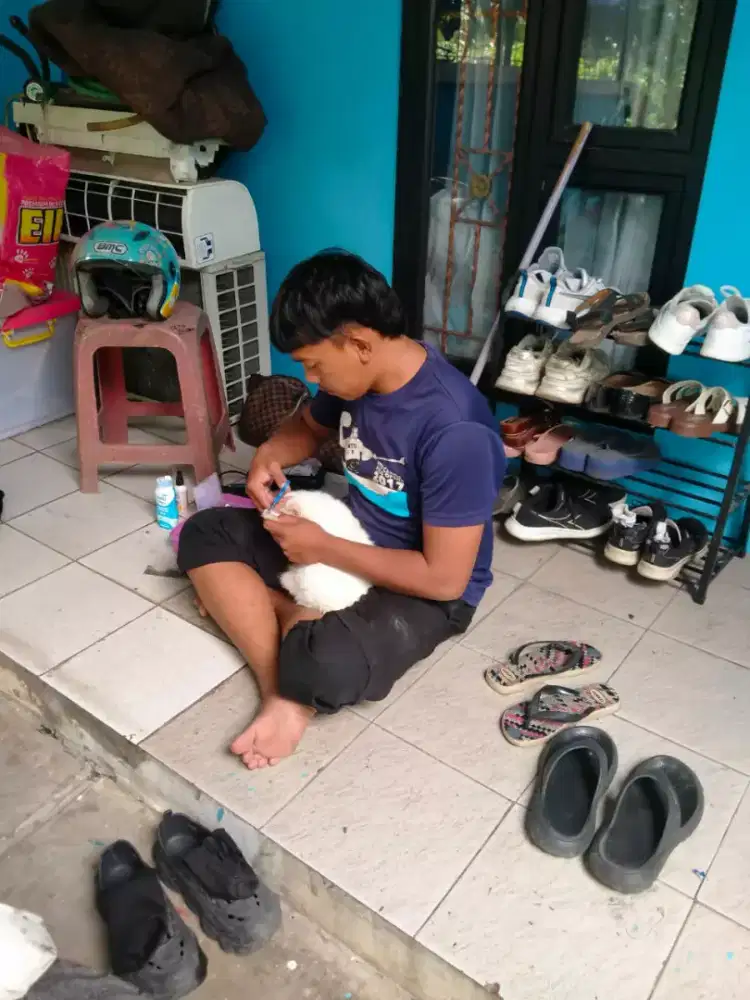 Groming Panggilan murah bisa nego harga