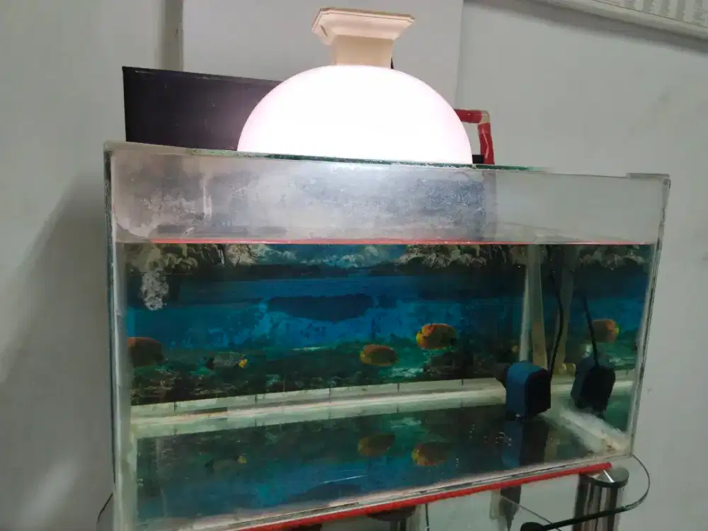 Aquarium 60 x 35 lengkap
