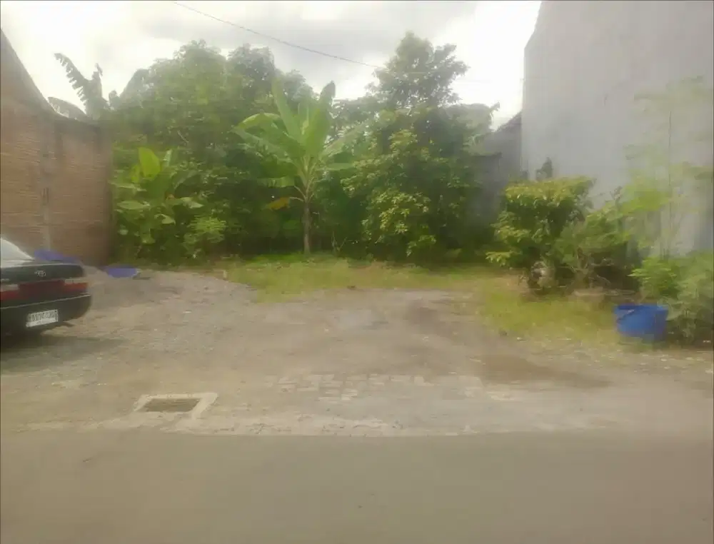 Dijual Tanah Bulusan Selatan Murah Hanya 500 m Dari Jln Raya Timoho