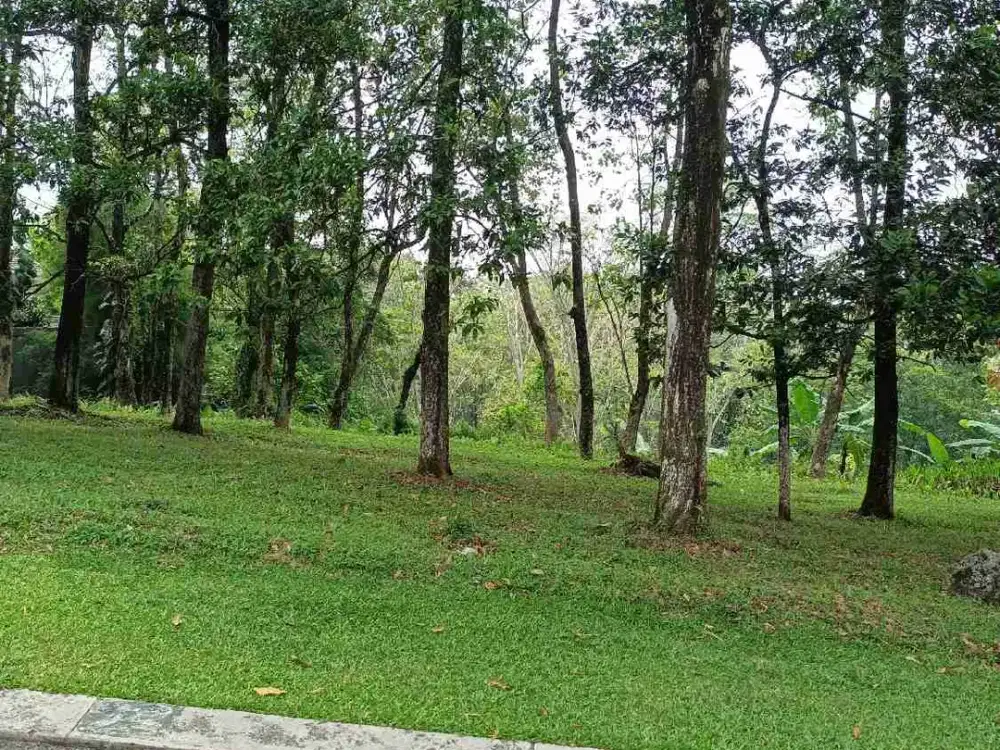 Dijual kavling SHM bukit golf hijau Sentul city Bogor Babakan Madang
