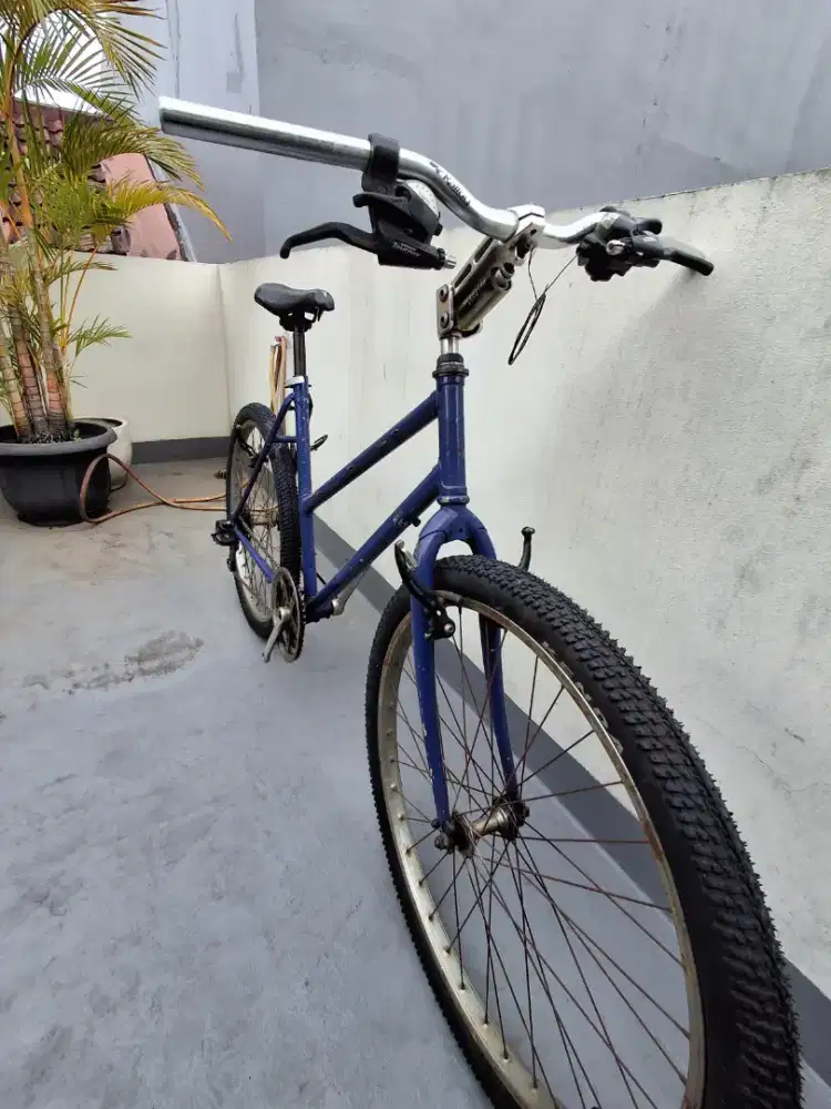 Mtb Mirip Federal Lady Kougar