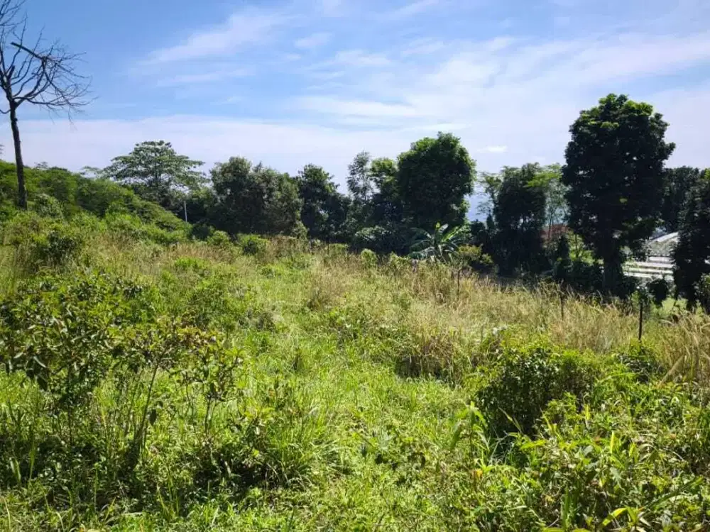 Tanah di Tajurhalang, Bogor